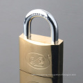 Gold Plated Arc Type Padlock